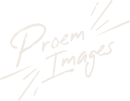 Proem Logo